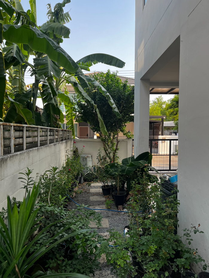รูป ขายบ้านภัทรีดาวิลล่าปทุมธานี 2 - รูปที่ 2/7