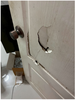listing thumbnail image 14