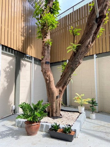 รูป HR3436ให้เช่าบ้านหรูใจกลางเมือง เอกมัย ซอย 4 พื้นที่กว้าง 450 ตร.ม. ใกล้ BTS เอกมัย ตอบโจทย์ทั้งการอยู่อาศัยแบบครอบครัวใหญ่หรือทำเป็นโฮมออฟฟิศ - รูปที่ 10/16