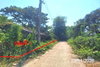 listing thumbnail image 3