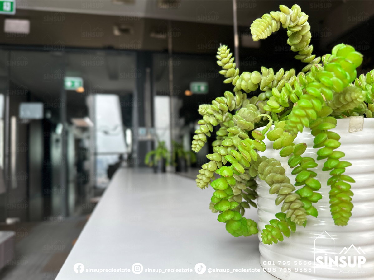 รูป ⭐️ ให้เช่า 𝐈𝐃𝐄𝐎 𝐌𝐨𝐛𝐢 𝐖𝐨𝐧𝐠𝐬𝐚𝐰𝐚𝐧𝐠 𝐈𝐧𝐭𝐞𝐫𝐜𝐡𝐚𝐧𝐠𝐞 ห้องน่ารัก แต่งสวย สไตล์ญี่ปุ่น ติด MRT บางซ่อน - รูปที่ 27/30