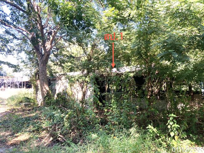 picture HOME 2000 Sq.w. Sri Prachan Suphanburi for 2.6M - 4/18