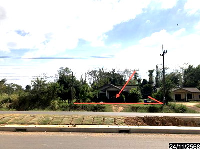 ขายบ้านเดี่ยว : บ้านเดี่ยว 247 ตร.วา เขมราฐ อุบลราชธานี 1.4M