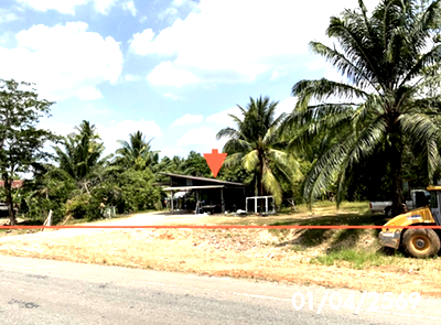 บ้านเดี่ยว ทุ่งสง นครศรีธรรมราช : บ้านเดี่ยว 589.5 ตร.วา ทุ่งสง นครศรีธรรมราช 3.1M