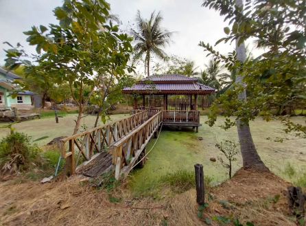 picture HOME 889.2 Sq.w. Muang Phetchaburi Petchburi for 3.5M - 20/27