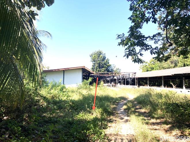 picture HOME 2000 Sq.w. Sri Prachan Suphanburi for 2.6M - 5/18