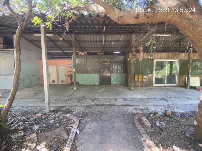 รูป บ้านเดี่ยว 2000 ตร.วา นครชัยศรี นครปฐม 20.5M - รูปที่ 19/62