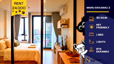 คอนโดให้เช่า : Maru Ekkamai 2 ✨ ใกล้ BTS เอกมัย 🚆 Pet friendly 🐶 ห้องชั้นสูง วิวเมือง 🏙️ 1BR 30 ตร.ม. 🛋️ พร้อมอยู่ เช่า 24,000 💸