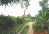 listing thumbnail image 8