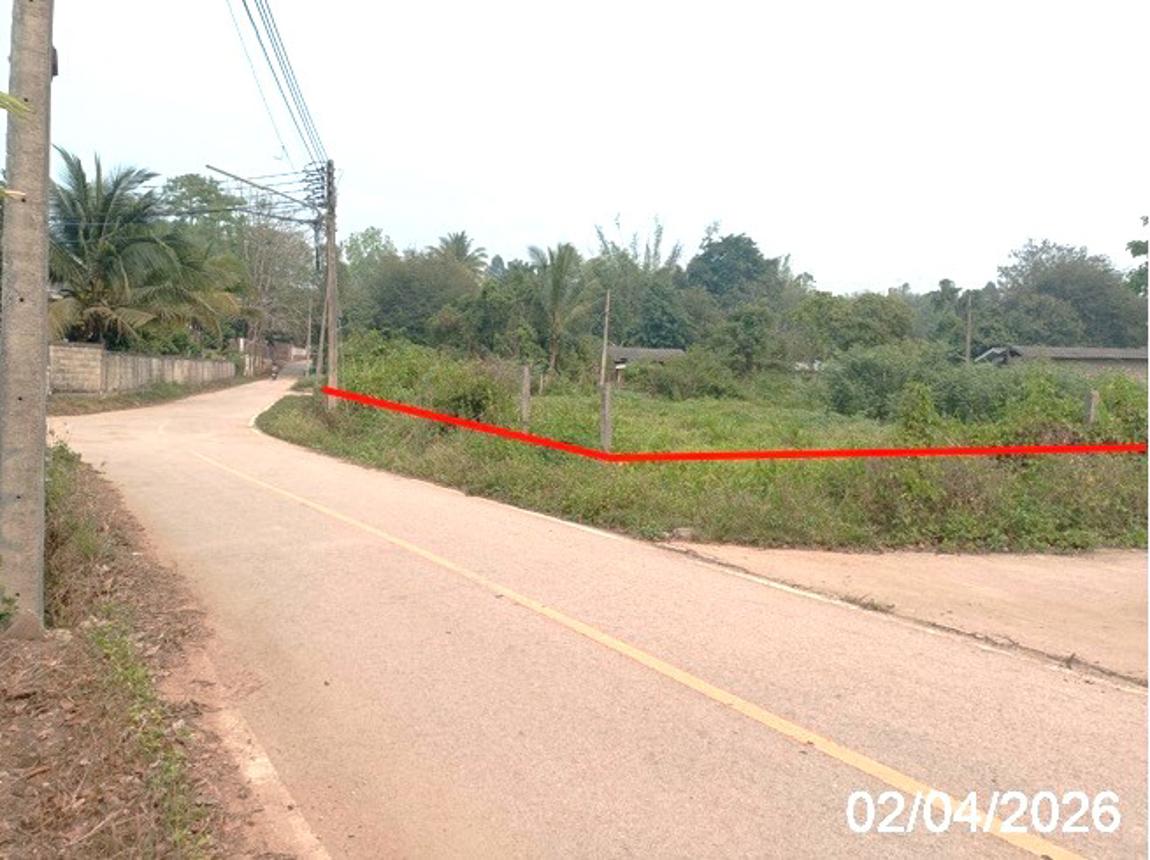 picture LAND 426.4 Sq.w. Fang Chiang Mai for 955,000 - 11/18
