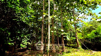 Land for sale Mae Rim Plaza  : 5,764 m² Land for Sale in Mae Raem (ID 2836232)