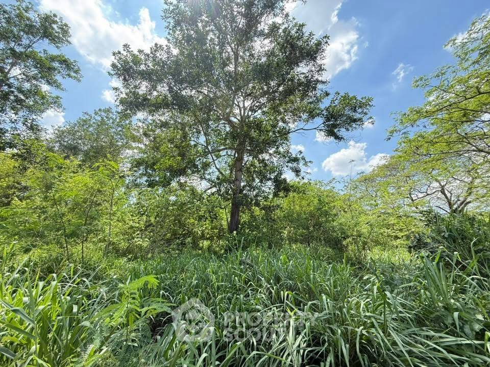 รูป ที่ดินสำหรับปล่อยขาย 3,348 ตารางเมตร แถว ใน คลองกิ่ว (ID 2693118) - รูปที่ 11/13
