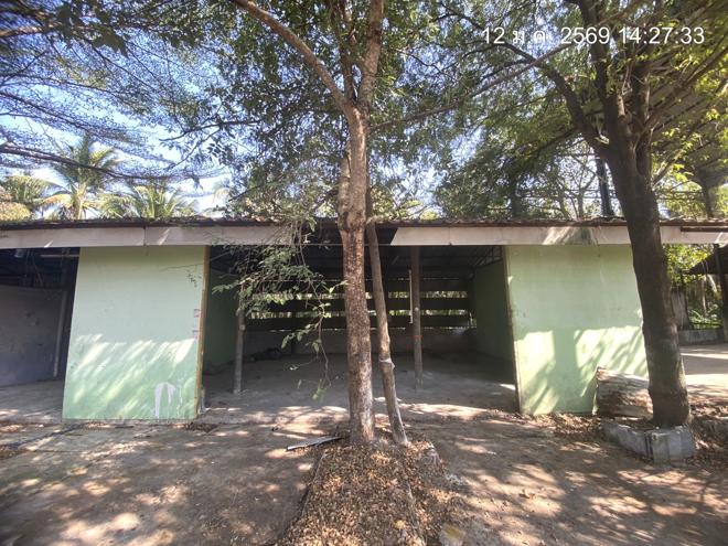 รูป บ้านเดี่ยว 2000 ตร.วา นครชัยศรี นครปฐม 20.5M - รูปที่ 23/62