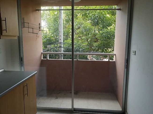 รูป ห้องชุด/คอนโดมิเนียม 38.8 ตร.ม. ห้องชุด พรีม่า ศรีนครินทร์ [ชั้น 2 อาคาร B] สวนหลวง กรุงเทพมหานคร 1.4M - รูปที่ 13/18