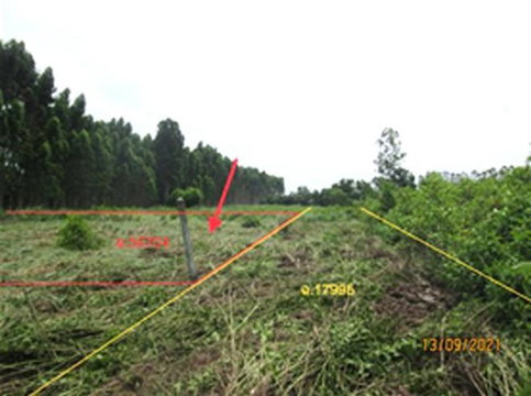 ที่ดินว่างเปล่า 800 ตร.วา ศรีมหาโพธิ ปราจีนบุรี 1.6M