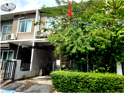 ทาวน์โฮม เมกะ บางนา : ทาวน์เฮ้าส์ 17.5 ตร.วา โครงการ เดอะคัลเลอร์ส (Hideaway) บางนา กม.10 สมุทรปราการ บางพลี สมุทรปราการ 2.9M
