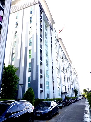 ขายคอนโด : ห้องชุด/คอนโดมิเนียม 33.4 ตร.ม. ห้องชุด ดิ ไอริส บางใหญ่ [ชั้น 5 อาคาร 4] บางบัวทอง นนทบุรี 1.7M