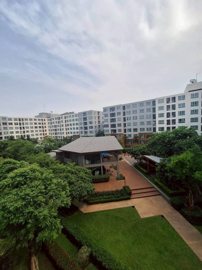 รูป ดีคอนโดนิม D Condo Nim  ติดเซ็นทรัลเฟสติวัลเชียงใหม่ วิวสวนและสระว่ายน้ำ ให้เช่า 12,000/เดือน  - รูปที่ 18/20