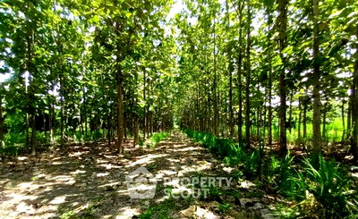 Land for sale Muang Chiang Mai Chiang Mai : 15,596 m² Land for Sale in Chang Phueak (ID 2830387)