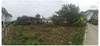 listing thumbnail image 11