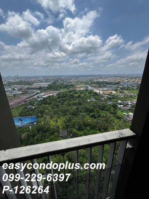 รูป P-126264 วิวเมืองสวย! แอสปาย สาทร-ราชพฤกษ์ 1 ห้องนอน ใกล้ MRT บางหว้า 13,000 บาท l Line Id: @easycondoplus l 099-229-6397 - รูปที่ 6/8
