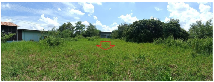 รูป บ้านเดี่ยว 746 ตร.วา เมืองสกลนคร สกลนคร เมืองสกลนคร สกลนคร 8.9M - รูปที่ 12/12