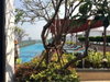 listing thumbnail image 20
