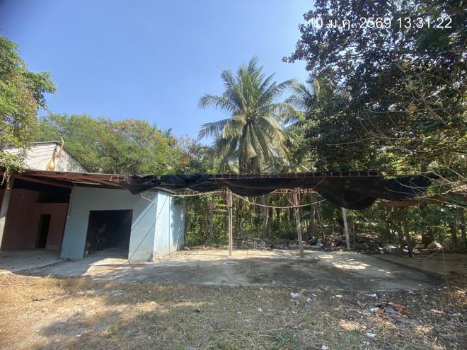 รูป บ้านเดี่ยว 2000 ตร.วา นครชัยศรี นครปฐม 20.5M - รูปที่ 16/62
