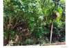 listing thumbnail image 15