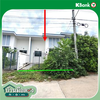 listing thumbnail image 11
