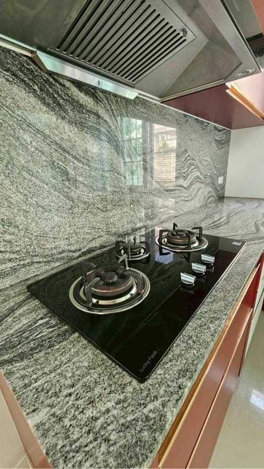 รูป ขาย ให้เช่า บ้าน Golden Neo Sathorn – Kalpapruek  - รูปที่ 13/29