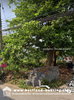 listing thumbnail image 4