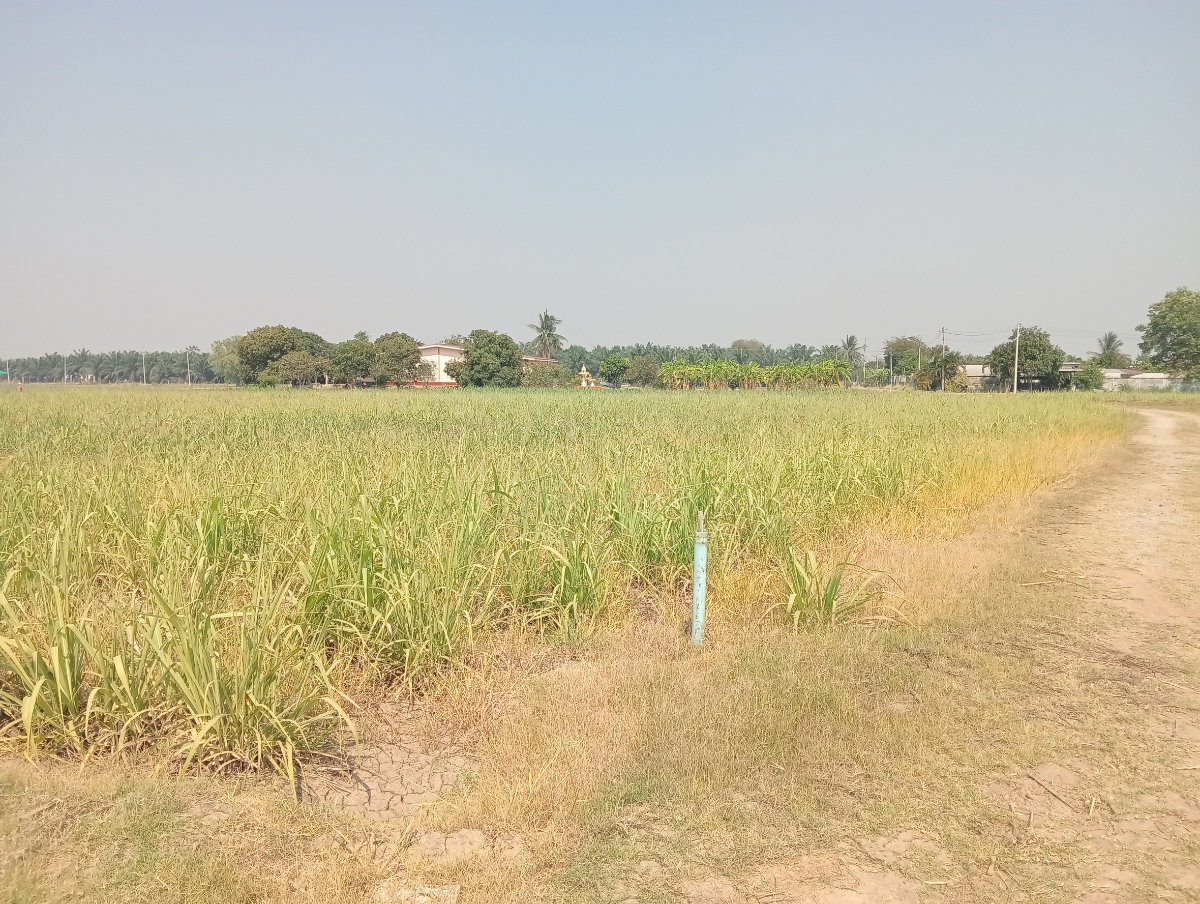 รูป ขายที่ดิน 6 ไร่ ติดถนนคอนกรีต. - รูปที่ 5/9