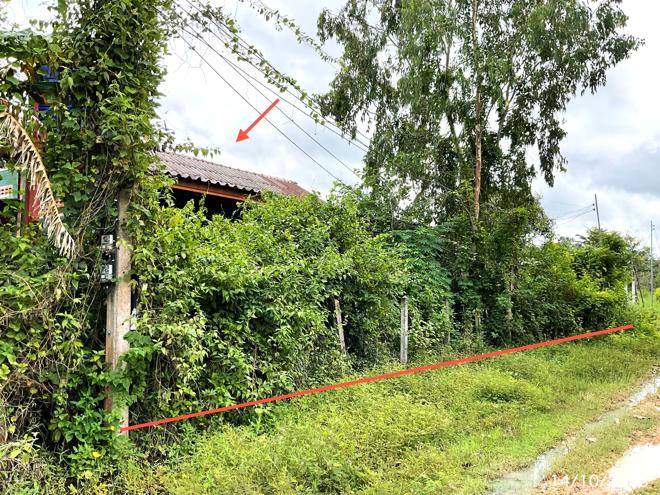 รูป บ้านเดี่ยว 200 ตร.วา ขุขันธ์ ศรีสะเกษ 1.6M - รูปที่ 5/14