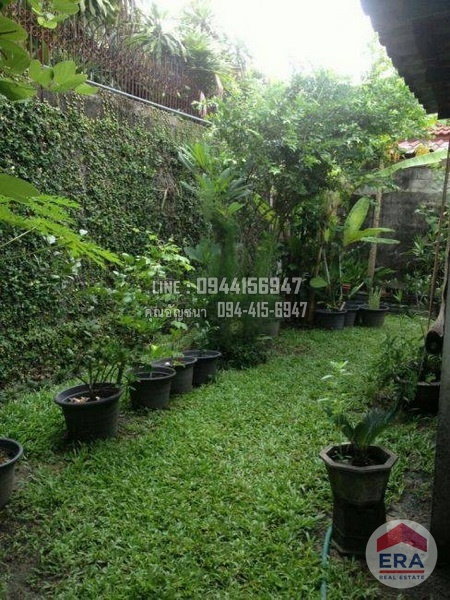 รูป ขายบ้านเดี่ยว 2 ชั้น 52 ตรว. กรุงเทพ-นนท์56 (ซอยวัดทองสุทธาราม) ปากซอยเป็นสถานีรถไฟฟ้าสายสีม่วง - รูปที่ 11/12