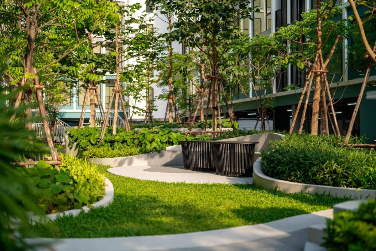 รูป 🏢 ให้เช่าคอนโด : Kave Seed Kaset (เคฟ ซี้ด เกษตร)   รหัสทรัพย์ | 📌LNP-C13079  - รูปที่ 2/26