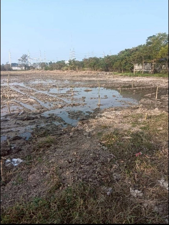 รูป ขายที่ดินเเปลงสวย 8 ไร่ 234 ตร.ว. ถมแล้ว ต.ดาวเรือง อ.เมืองสระบุรี จ.สระบุรี ใกล้สนามกีฬาสระบุรี - รูปที่ 8/8