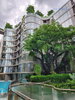 listing thumbnail image 12