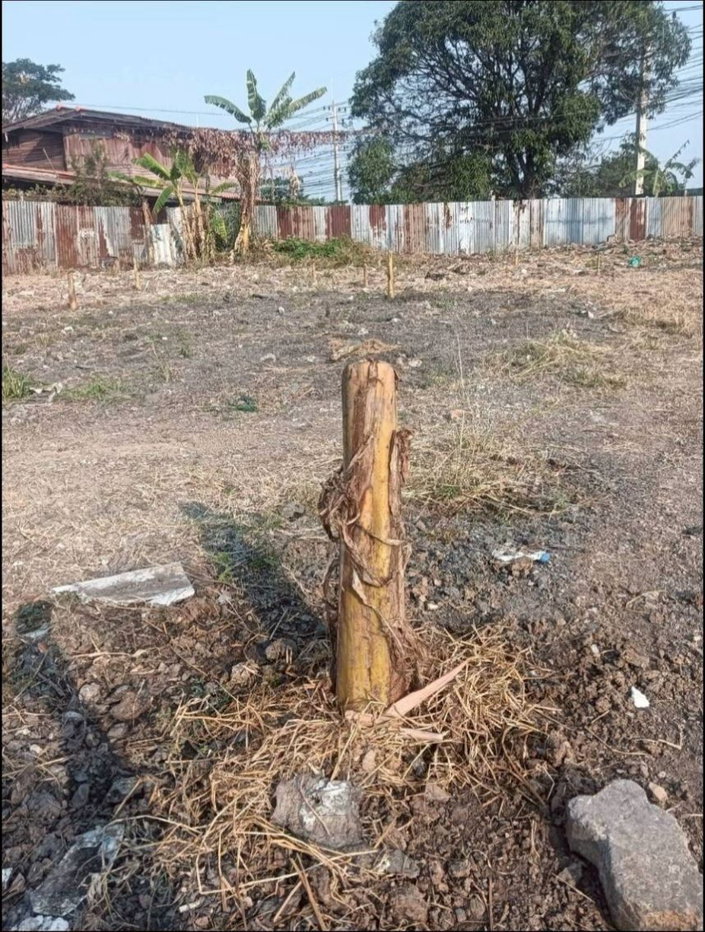 รูป ขายที่ดินเเปลงสวย 8 ไร่ 234 ตร.ว. ถมแล้ว ต.ดาวเรือง อ.เมืองสระบุรี จ.สระบุรี ใกล้สนามกีฬาสระบุรี - รูปที่ 7/8