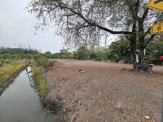 รูป ขายที่ดินปทุมธานี ลาดหลุมแก้ว ถมแล้ว ติดถนน ใกล้ราชพฤกษ์-กาญจนาภิเษก - รูปที่ 8/8