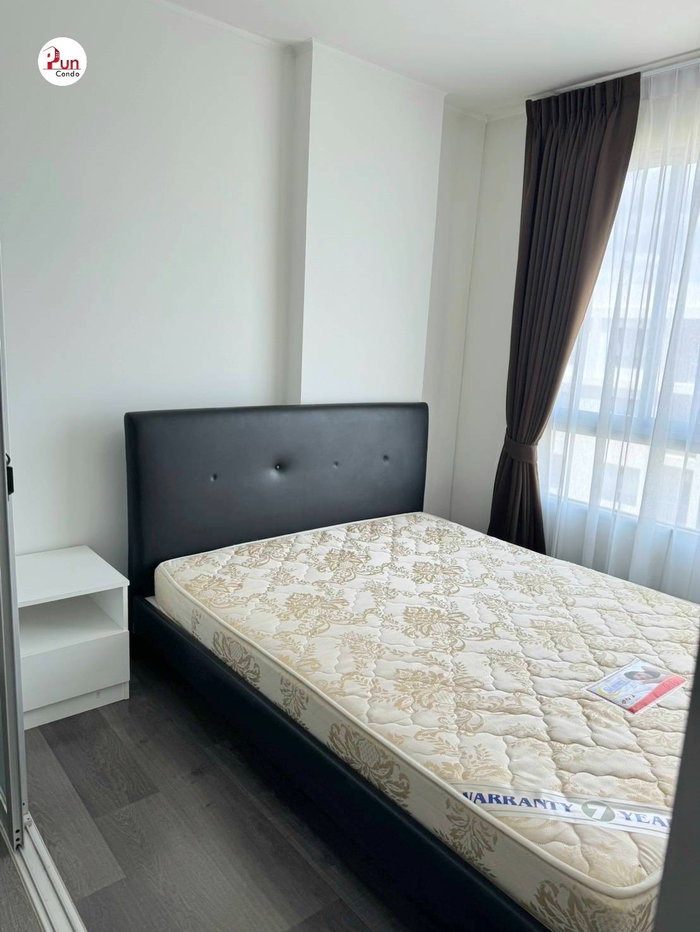 picture Dcondo Campus Resort Rungsit for rent. - 3/22