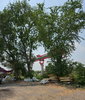 listing thumbnail image 4