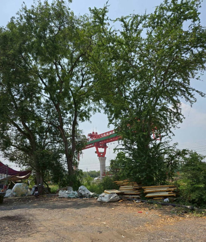 รูป  ขาย  ที่ดินเปล่า 118ไร่ หน้ากว้างติดถนน 280 เมตร ติดถนนนครหลวง-ภาชี หินกอง ทำเลดี ติดถนนหลักสองด้าน แหล่งชุมชน และตลาด  - รูปที่ 5/7