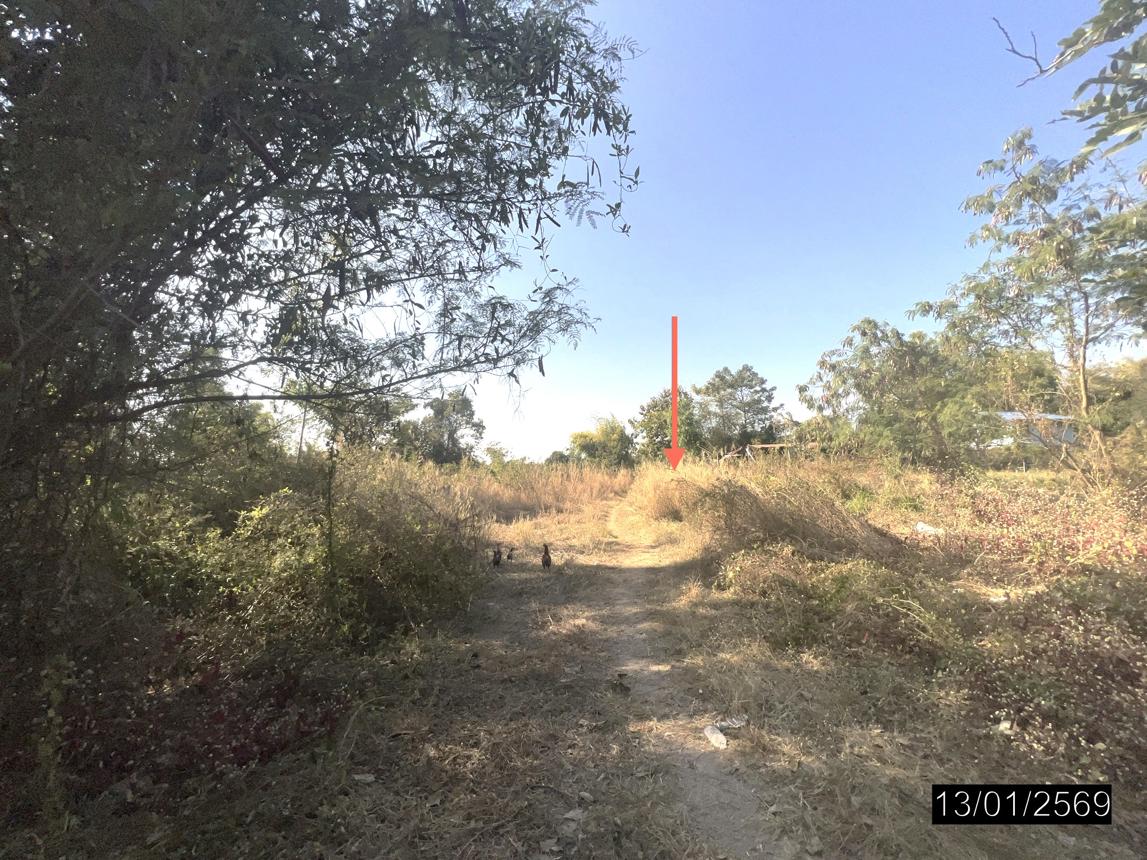 รูป บ้านเดี่ยว 808 ตร.วา เมืองยโสธร ยโสธร 823,000 - รูปที่ 12/18