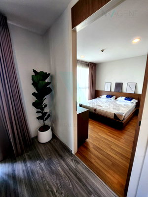 Condos for rent BTS Bang Chak : 🎊 For Rent Condo WHIZDOM THE EXCLUSIVE Building 1, Floor 7,2 bed room, Room size 65.00 sqm