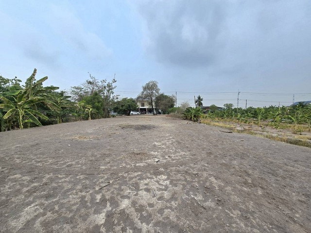 รูป ขายที่ดินปทุมธานี ลาดหลุมแก้ว ถมแล้ว ติดถนน ใกล้ราชพฤกษ์-กาญจนาภิเษก - รูปที่ 6/8