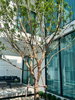 listing thumbnail image 13