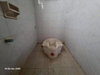 listing thumbnail image 32