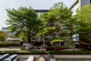 listing thumbnail image 13