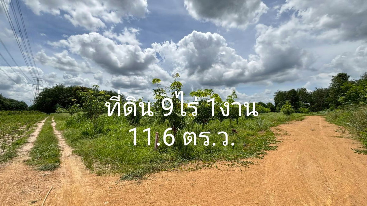 รูป 🚩ที่ดิน 9 ไร่กว่า ถูกที่สุดในย่านนี้ ปลวกแดง ระยอง ที่สวยติดถนนสาธารณะกว้าง 8 เมตร - รูปที่ 2/8